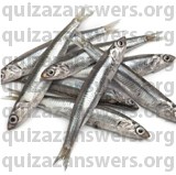 ANCHOVIES