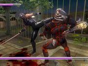 Ninja Gaiden Sigma Plus screenshot