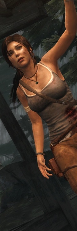 Tomb Raider Sidebar