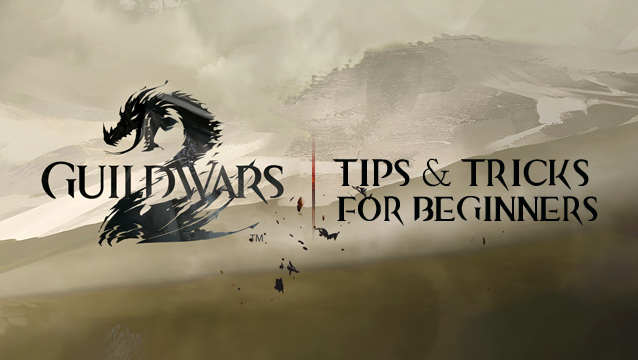 guild wars 2 tips tricks guide new players