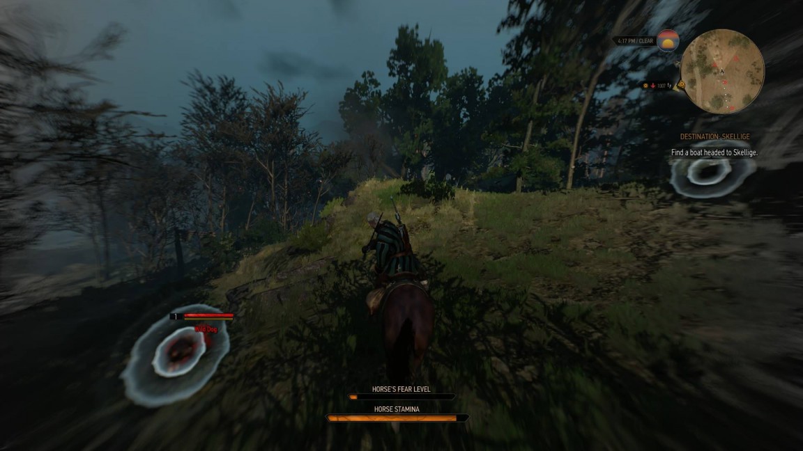 witcher_hosre_focus