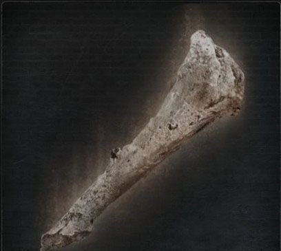 Old Hunter Bone