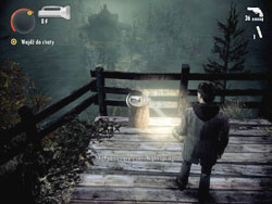 When you get back to the cabin at the lake (right after climbing the ladder in the lighthouse), turn around and run up to the hill top, where you'll find the last game - Collectibles (DLC) - Night Springs Game - Collectibles (DLC) - Alan Wake - Game Guide and Walkthrough