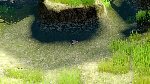Look at the water and you will find a mirror shard (picture) - Entering the house - Walkthrough - Anna - Game Guide and Walkthrough