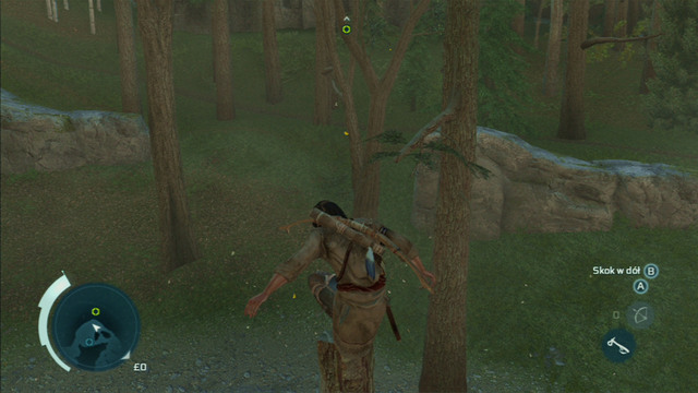 Save him and afterwards jump to the tree forming a V growing on the other side of the water - Sequence 4 - Feathers and Trees - Walkthrough - Assassins Creed III - Game Guide and Walkthrough