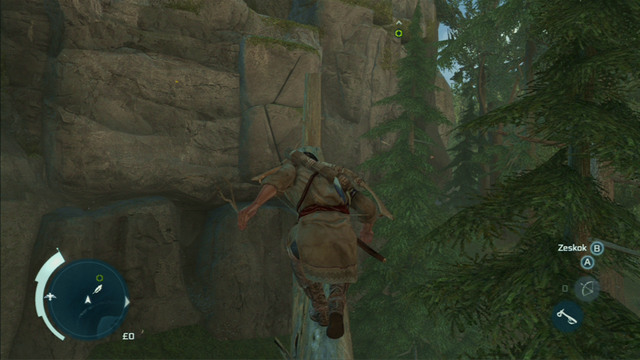 Start off by reaching the rock wall by jumping between branches and the fallen trunk - Sequence 4 - Feathers and Trees - Walkthrough - Assassins Creed III - Game Guide and Walkthrough