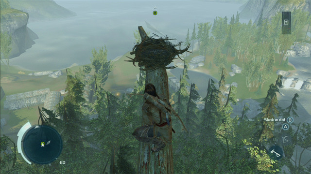 At the top, approach the marked nest and press the interaction button - Sequence 4 - Feathers and Trees - Walkthrough - Assassins Creed III - Game Guide and Walkthrough