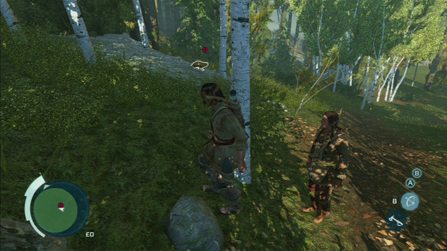 After the conversation, head to the green zone and eventually two red dots marking rabbits will appear - Sequence 4 - Hunting Lessons - Walkthrough - Assassins Creed III - Game Guide and Walkthrough