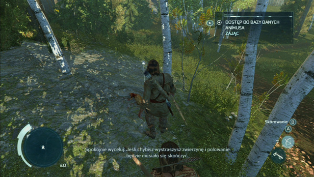 Kill one of the animals by holding down and then releasing the shoot button and afterwards skin it with the interaction button - Sequence 4 - Hunting Lessons - Walkthrough - Assassins Creed III - Game Guide and Walkthrough