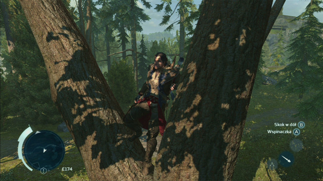 If you want to climb higher, you need to use the jump button - Climbing trees - Exploration - Assassins Creed III - Game Guide and Walkthrough