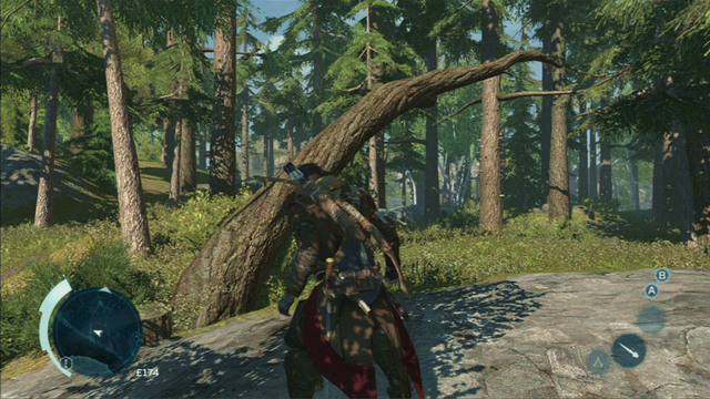 Forest climbing paths usually begin with fallen trees - Climbing trees - Exploration - Assassins Creed III - Game Guide and Walkthrough