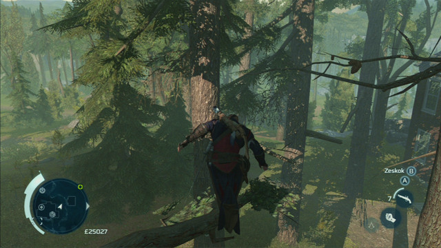 Examine both items, head to the balcony and jump between branches to reach the designated area - Everyday life - Homestead - Assassins Creed III - Game Guide and Walkthrough