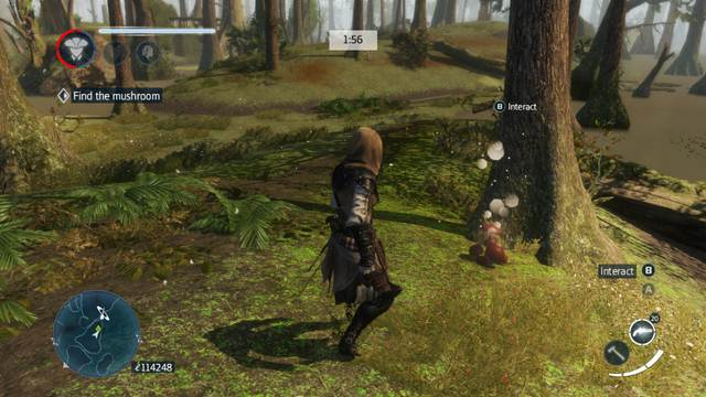 Mushrooms - Main collectibles - Collectibles - Assassins Creed: Liberation HD - Game Guide and Walkthrough
