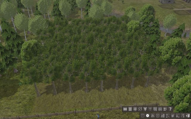 Soon the trees will start producing fruits! - Orchards - Food production - Banished - Game Guide and Walkthrough