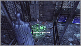 If you manage to pull off the above actions properly, you will be able to fly into the cage nearby its ceiling #1 - Batman trophies (19-28) - Amusement Mile - Batman: Arkham City - Game Guide and Walkthrough