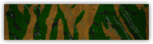 Green Underbush Camo (forest/tropical) - Support Class - Classes / Functions - Battlefield 4 - Game Guide and Walkthrough