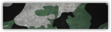 Duckweed Camo (forest/urban) - Recon Class - Classes / Functions - Battlefield 4 - Game Guide and Walkthrough