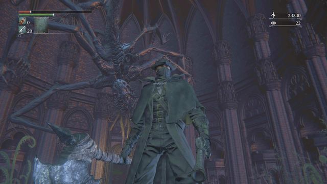 You see Amygdalas kin either after you have accumulated enough Insight, or after you kill Rom, the Vacuous Spider. - Multiplayer - Bloodborne - Game Guide and Walkthrough
