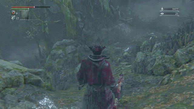 The path forks frequently in the Forbidden Woods. - Forbidden Woods - Walkthrough - Bloodborne - Game Guide and Walkthrough