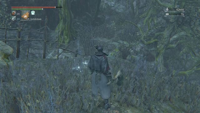Along your path, you encounter scores of opponents - Forbidden Woods - Walkthrough - Bloodborne - Game Guide and Walkthrough