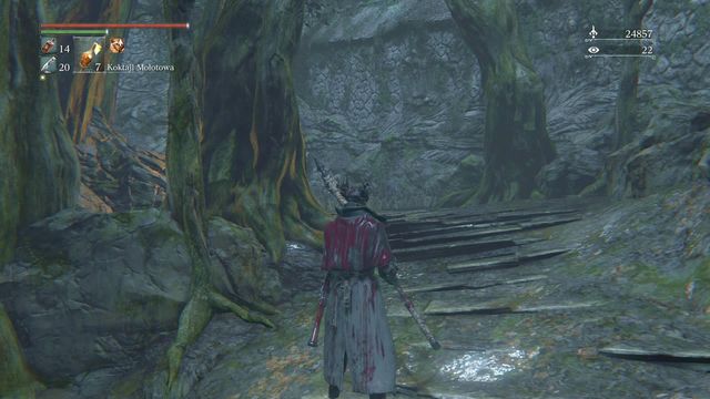 There is an enemy hiding behind the tree. - Forbidden Woods - Walkthrough - Bloodborne - Game Guide and Walkthrough