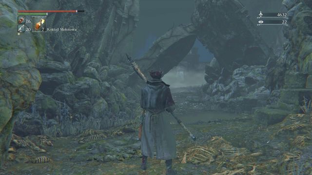 The path leading to the bosses. - Forbidden Woods - Walkthrough - Bloodborne - Game Guide and Walkthrough