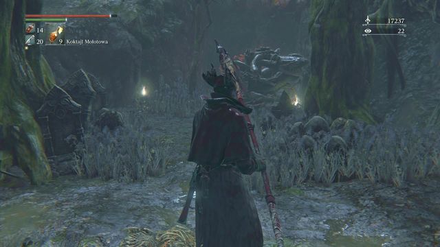 At the very bottom, it is good to locate the niche that you can see in the screen above - Forbidden Woods - Walkthrough - Bloodborne - Game Guide and Walkthrough