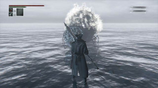 The first time, you have to start the fight yourself. - Rom, the Vacuous Spider - Boss Fights - Bloodborne - Game Guide and Walkthrough