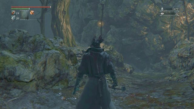 The road to Forbidden Woods into the cave. - Iosefka - Side quests - Bloodborne - Game Guide and Walkthrough