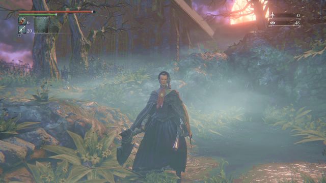 Queen Annalise. - Covenant choice - Side quests - Bloodborne - Game Guide and Walkthrough