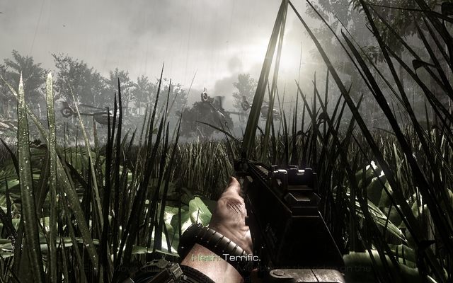 High grass, your best jungle friend! - 09 - The Hunted - Campaign - Walkthrough - Call of Duty: Ghosts - Game Guide and Walkthrough