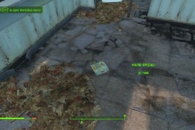How To Get Max SPECIAL Points And Dupe Items In Fallout 4