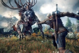 The Witcher 3 Guide: How To Get A Novigrad Pass