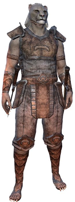 Khajit Elder Scrolls Online Character Creation Guide