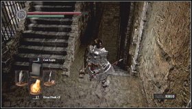 11 - Undead Asylum - Walkthrough - Dark Souls - Game Guide and Walkthrough