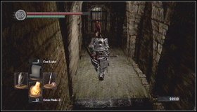 12 - Undead Asylum - Walkthrough - Dark Souls - Game Guide and Walkthrough