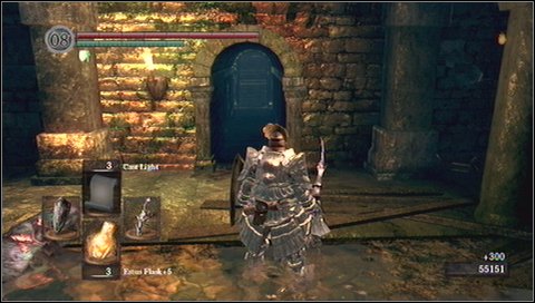 You can get to the arena by descending two levels - Depths - p. 3 - Walkthrough - Dark Souls - Game Guide and Walkthrough