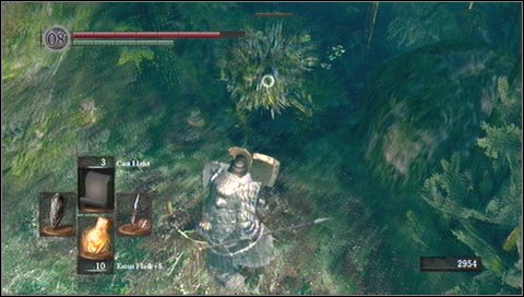 After killing the first plant, run forward - Darkroot Garden - p. 1 - Walkthrough - Dark Souls - Game Guide and Walkthrough