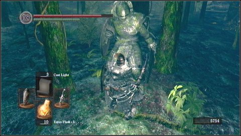 From this large area you can reach the boss Moonlight Butterfly - Darkroot Garden - p. 1 - Walkthrough - Dark Souls - Game Guide and Walkthrough