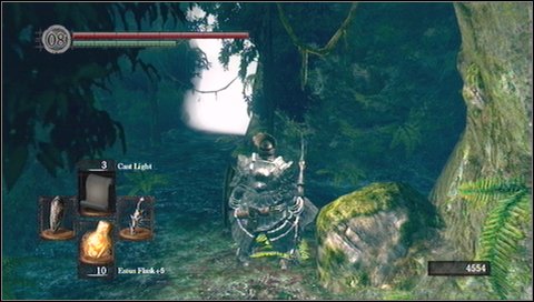 Behind fog you'll get to large tract of forest - Darkroot Garden - p. 1 - Walkthrough - Dark Souls - Game Guide and Walkthrough