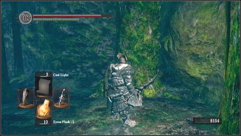 You'll reach a fogy passage and another path to the left - Darkroot Garden - p. 1 - Walkthrough - Dark Souls - Game Guide and Walkthrough