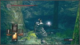 Keep going along the right wall - Darkroot Garden - p. 2 - Walkthrough - Dark Souls - Game Guide and Walkthrough