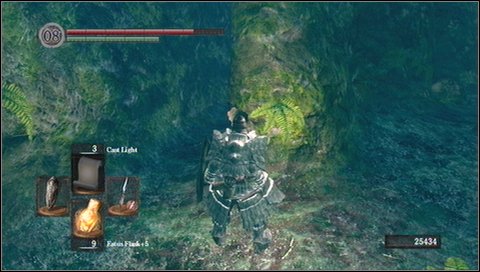 After checking all above places, enter the tower and fight with Moonlight Butterfly - Darkroot Garden - p. 2 - Walkthrough - Dark Souls - Game Guide and Walkthrough