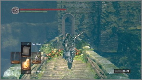 At the tower top you'll find Divine Ember, a key to Havel's tower (Watchtower Basement Key) and a bone - Darkroot Garden - p. 2 - Walkthrough - Dark Souls - Game Guide and Walkthrough