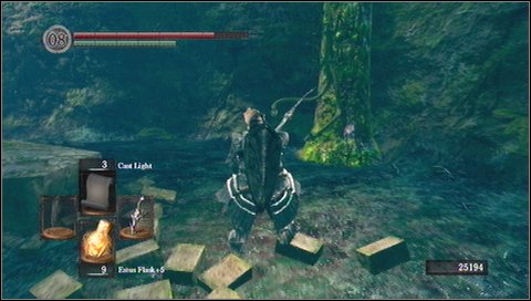 Look to the recess on the right, a few dozen meters away - Darkroot Garden - p. 2 - Walkthrough - Dark Souls - Game Guide and Walkthrough