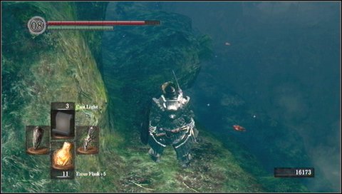 It is best to go to the rocky ledge on the left - Darkroot Basin - Walkthrough - Dark Souls - Game Guide and Walkthrough