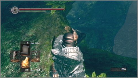 Below you'll find an item - Grass Crest Shield - Darkroot Basin - Walkthrough - Dark Souls - Game Guide and Walkthrough