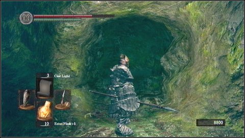 Behind the bonfire, there is an elevator which leads to Valley of the Drakes - Darkroot Basin - Walkthrough - Dark Souls - Game Guide and Walkthrough