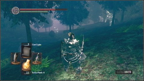 Form this place you go down with another winding path - Darkroot Basin - Walkthrough - Dark Souls - Game Guide and Walkthrough