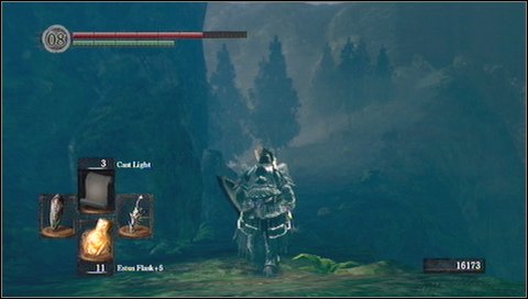 You'll get to a larger passage between hills (to the left) - Darkroot Basin - Walkthrough - Dark Souls - Game Guide and Walkthrough